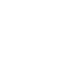 Lightning bolt icon