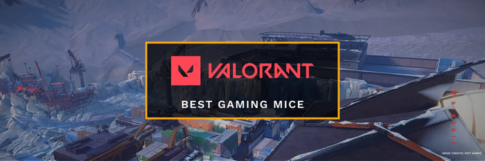 Best Mouse for Valorant in 2026: Pro Settings, Gear, and What Actually Works