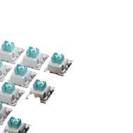 Glorious Switches Lynx Standard HE 100 ANSI