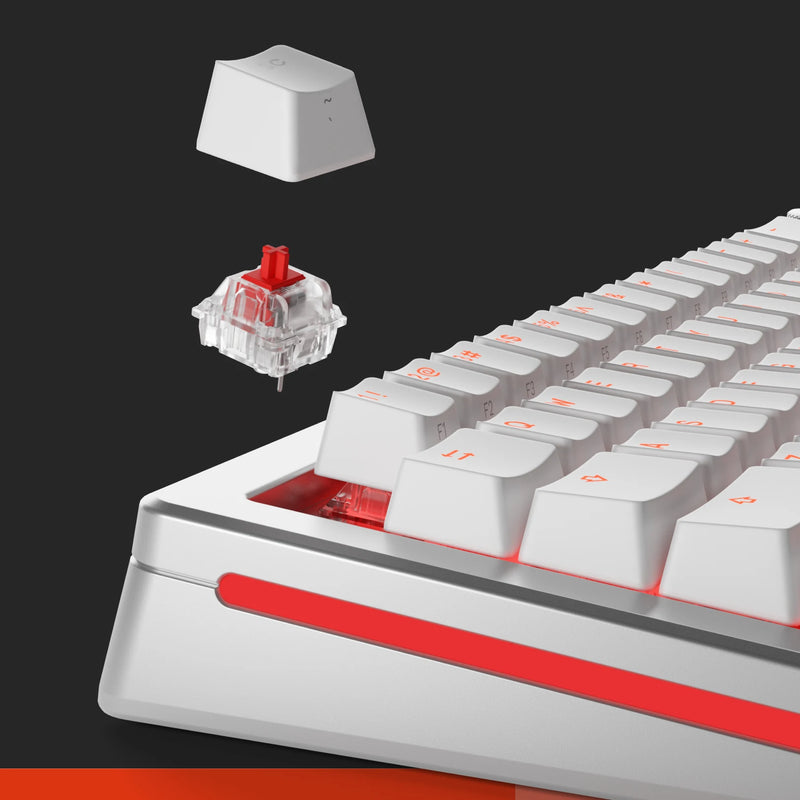 Fox Switches + Toy Bundle