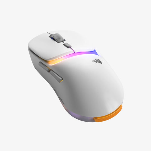 Model D3 Wireless Mouse