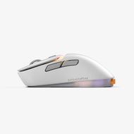 Model D3 Wireless Mouse