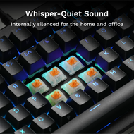 Panda MX Switches