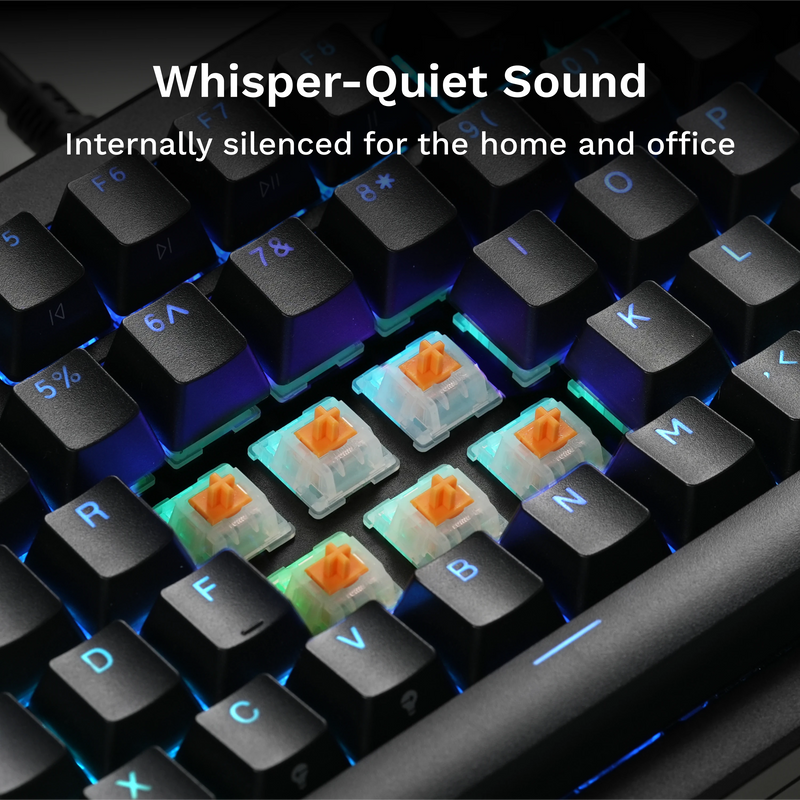 Panda MX Switches