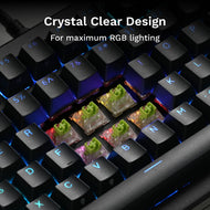 Glorious Raptor HE Clicky Switches – Rapid Response & Long-Lasting Switches
