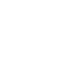 Light bulb icon