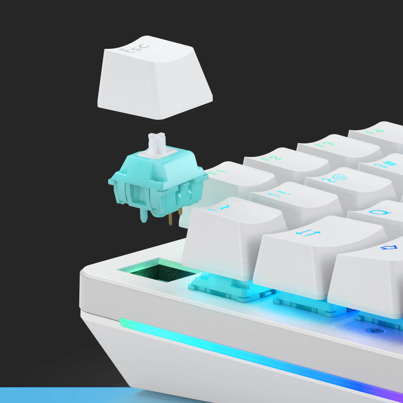 Lynx Switches + Toy Bundle