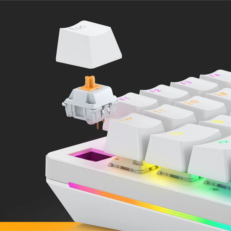 Panda Switches + Toy Bundle