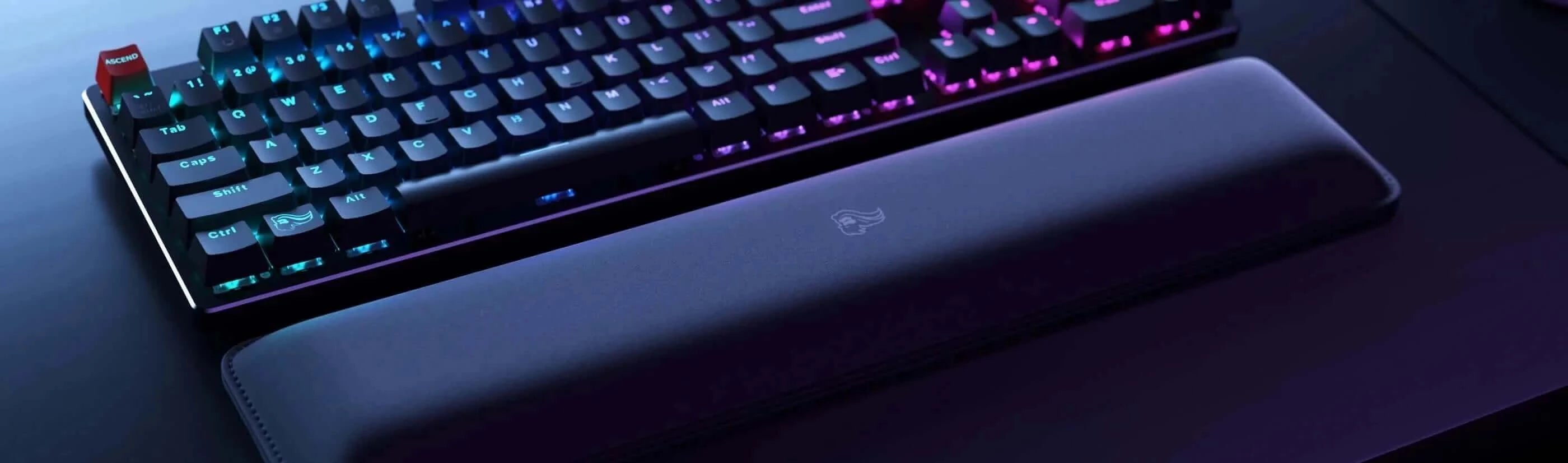 entreprenør billede tvilling Mechanical Keyboard Accessories - Glorious PC Gaming - Glorious Gaming